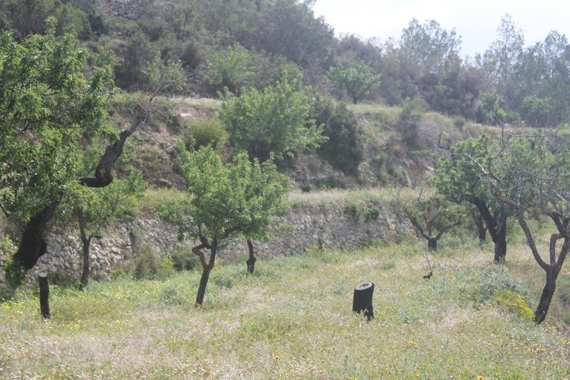 Solar/Parcela en Benissa en venta - 170.000 € (Ref: 3381650)