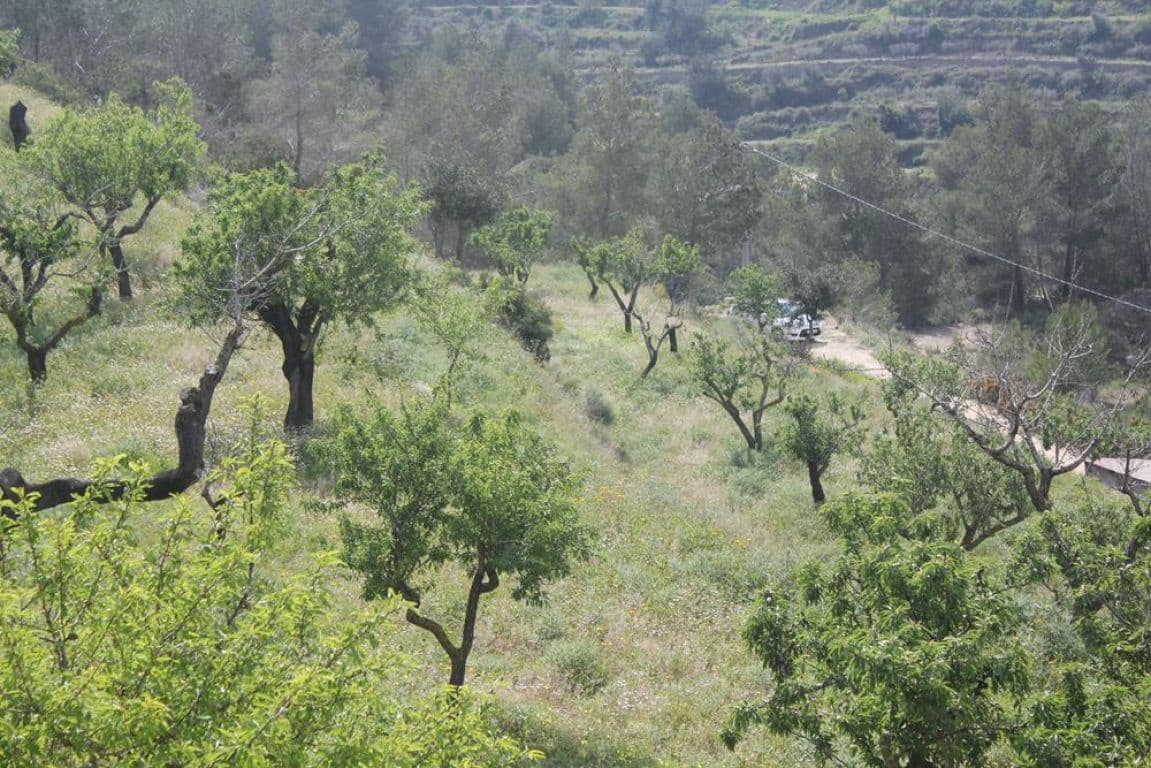 Solar/Parcela en Benissa en venta - 170.000 € (Ref: 3381650)