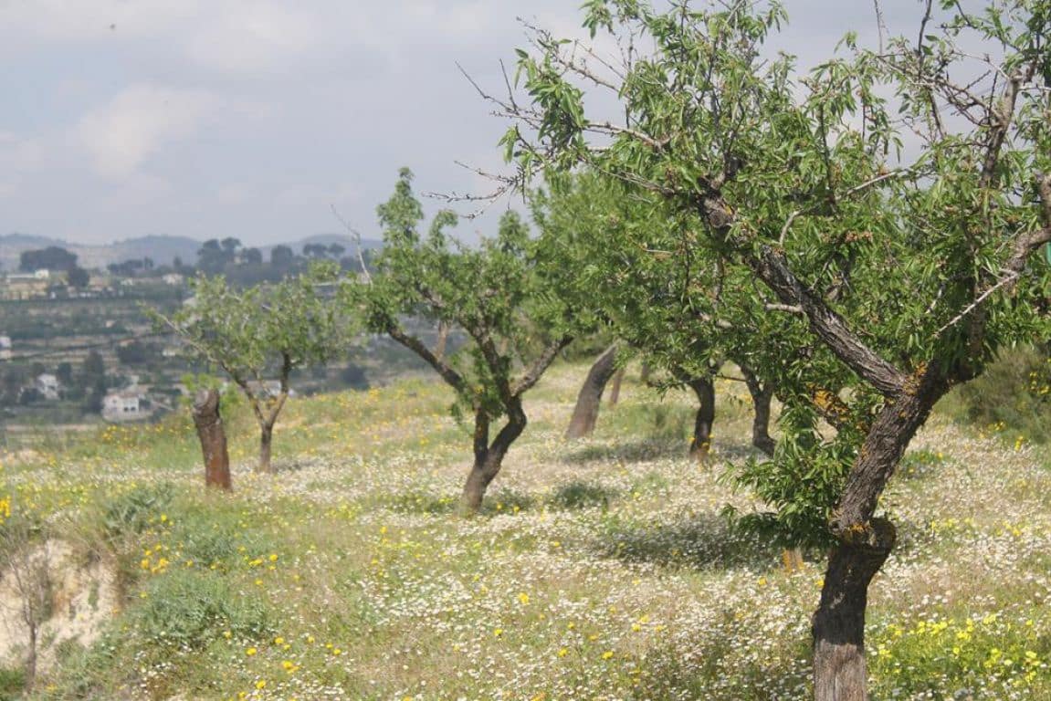 Solar/Parcela en Benissa en venta - 170.000 € (Ref: 3381650)