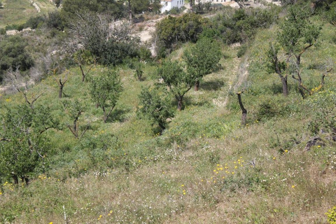 Solar/Parcela en Benissa en venta - 170.000 € (Ref: 3381650)