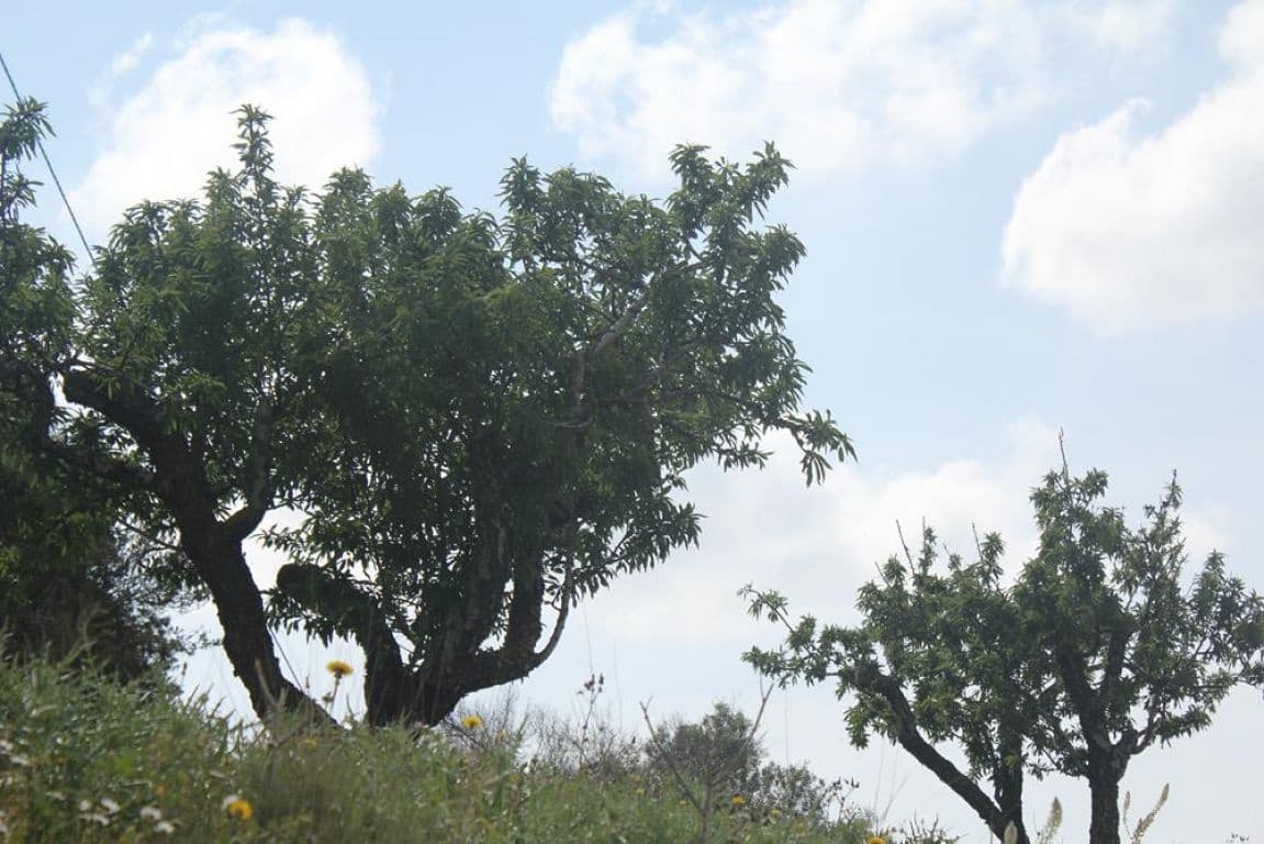 Solar/Parcela en Benissa en venta - 170.000 € (Ref: 3381650)