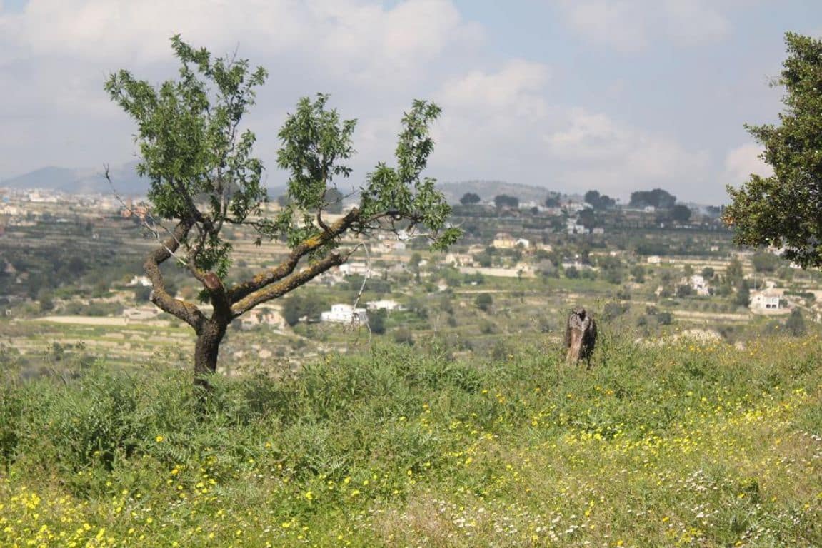 Solar/Parcela en Benissa en venta - 170.000 € (Ref: 3381650)