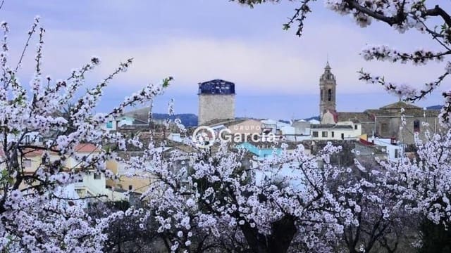 Bouwgrond te koop in Alcalalí / Alcanalí - € 45.000 (Ref: 7521812)