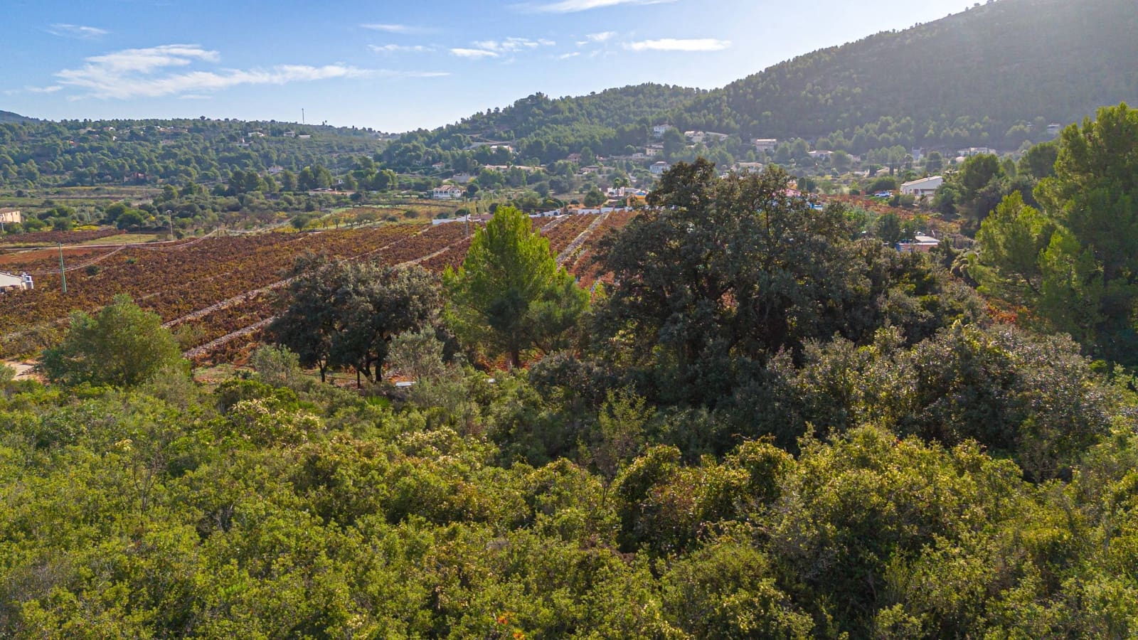 Bouwgrond te koop in Lliber - € 145.000 (Ref: 7867955)