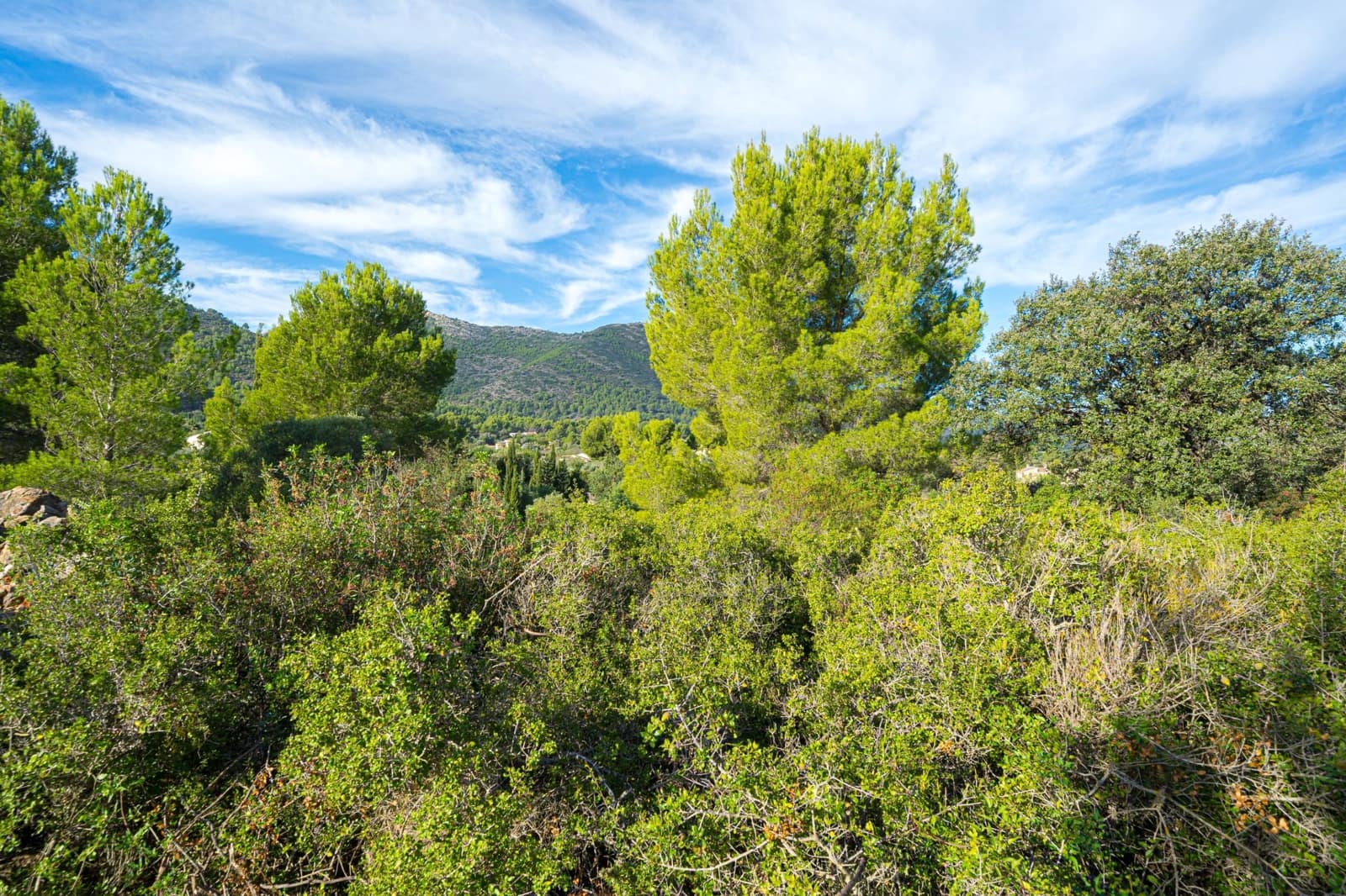 Bouwgrond te koop in Lliber - € 145.000 (Ref: 7867955)