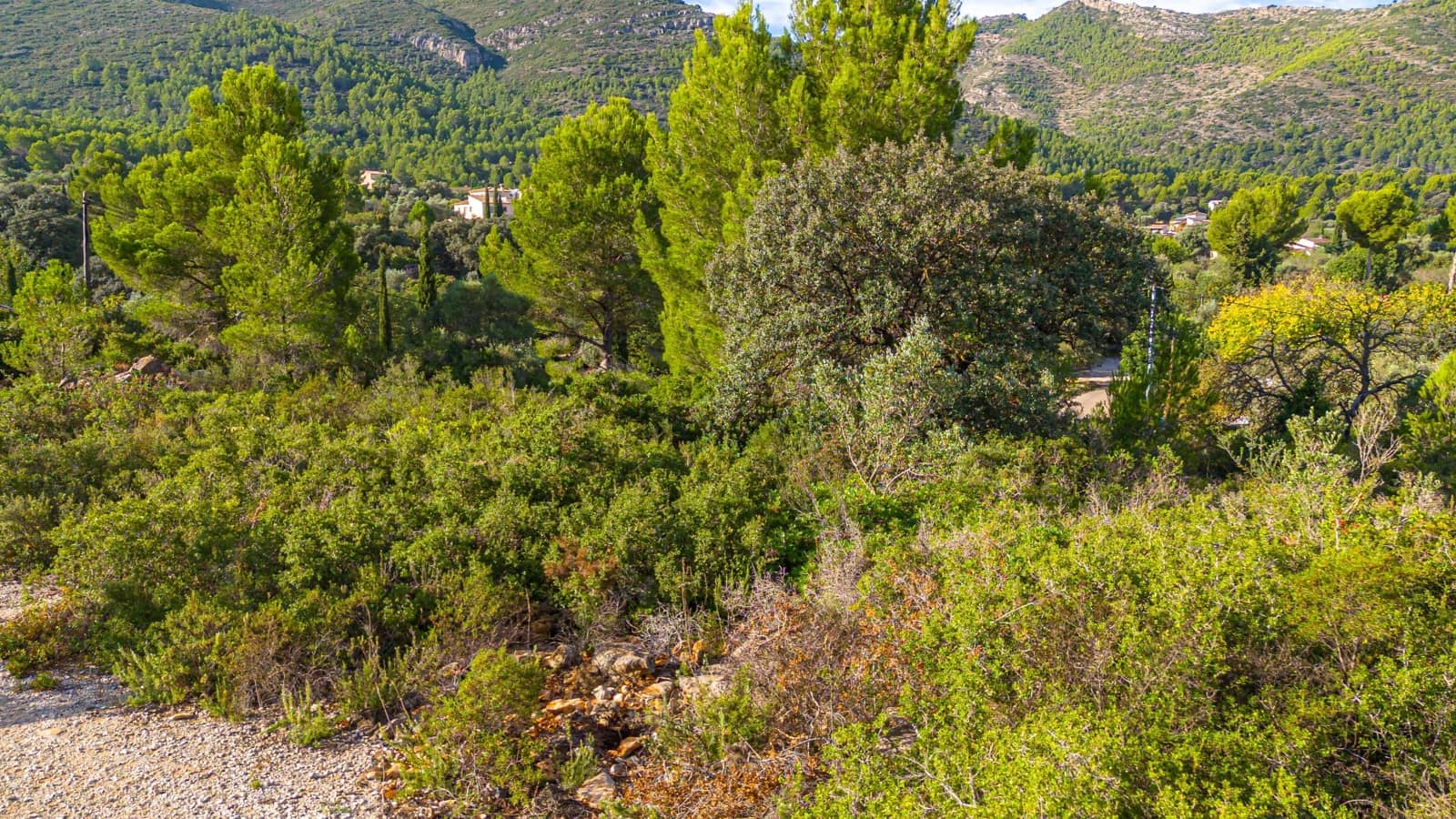 Bouwgrond te koop in Lliber - € 145.000 (Ref: 7867955)