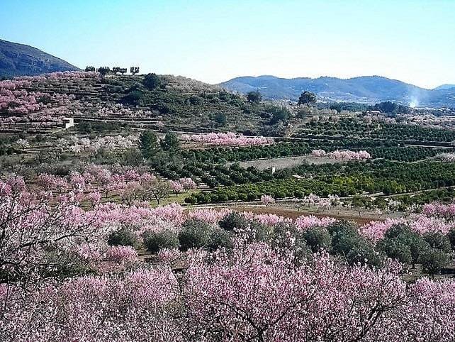 3 quarto Moradia para venda em Alcalali / Alcanali com piscina garagem - 945 000 € (Ref: 8698216)