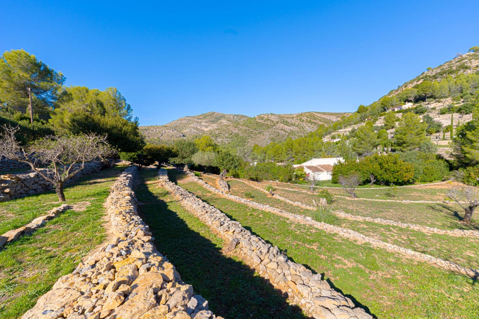 3 bedroom Finca/Country House for sale in Lliber with pool - € 675,000 (Ref: 9425761)