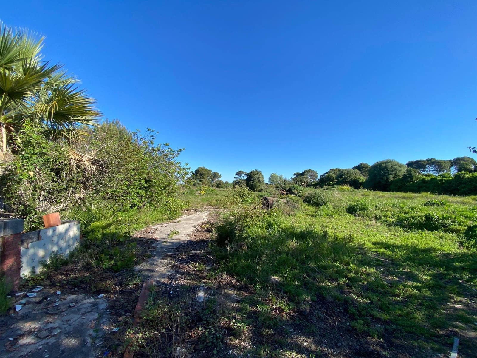 10 quarto Quinta/Casa Rural para venda em Denia - 1 560 000 € (Ref: 9994191)