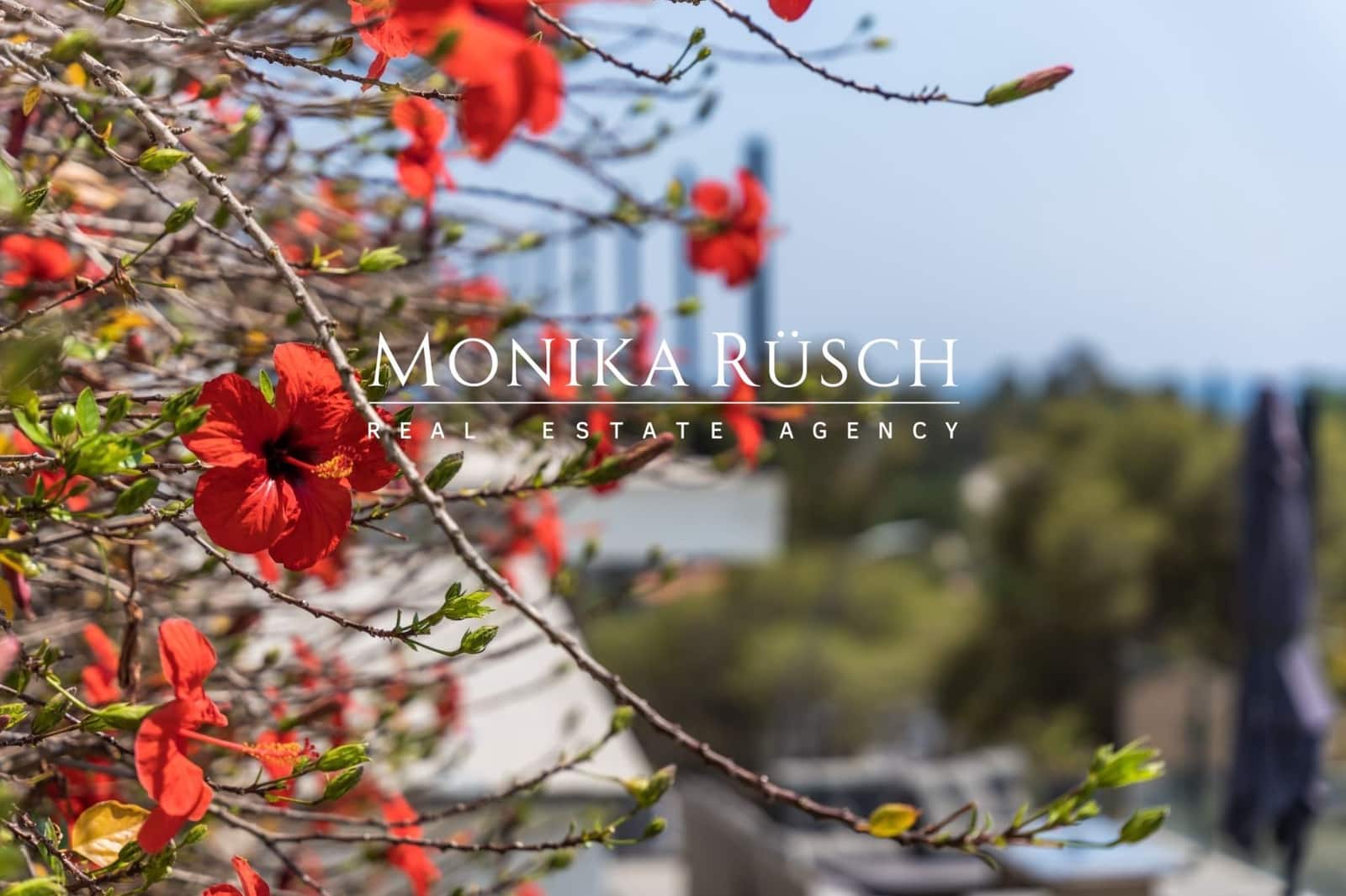 4 camera da letto Villa da affittare in Castelldefels con piscina - 12.000 € (Rif: 8928420)