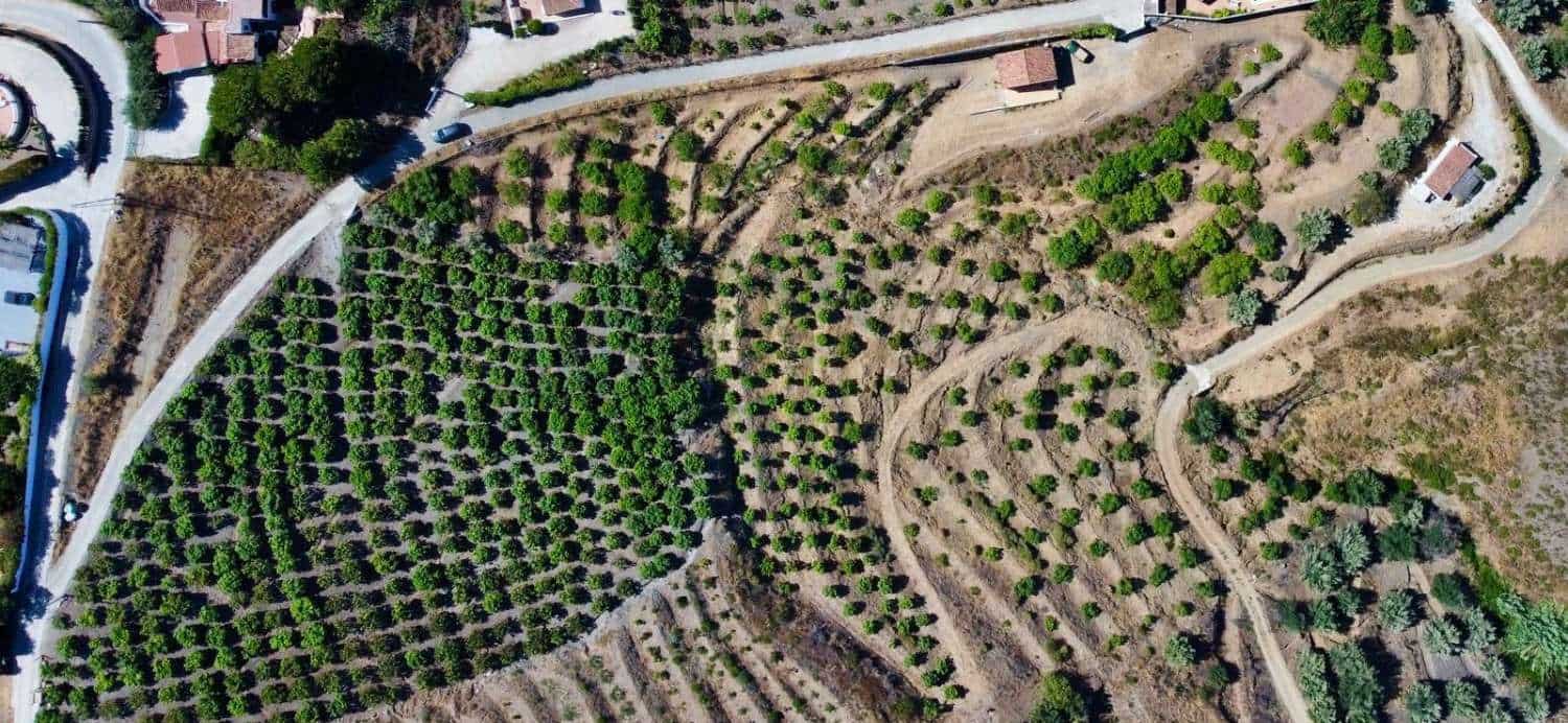 1 soverom Finca/Herregård til salgs i Frigiliana - € 220 000 (Ref: 8770120)