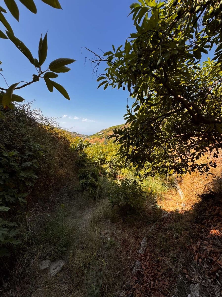 Tomt till salu i Frigiliana - 63 500 € (Ref: 9141397)