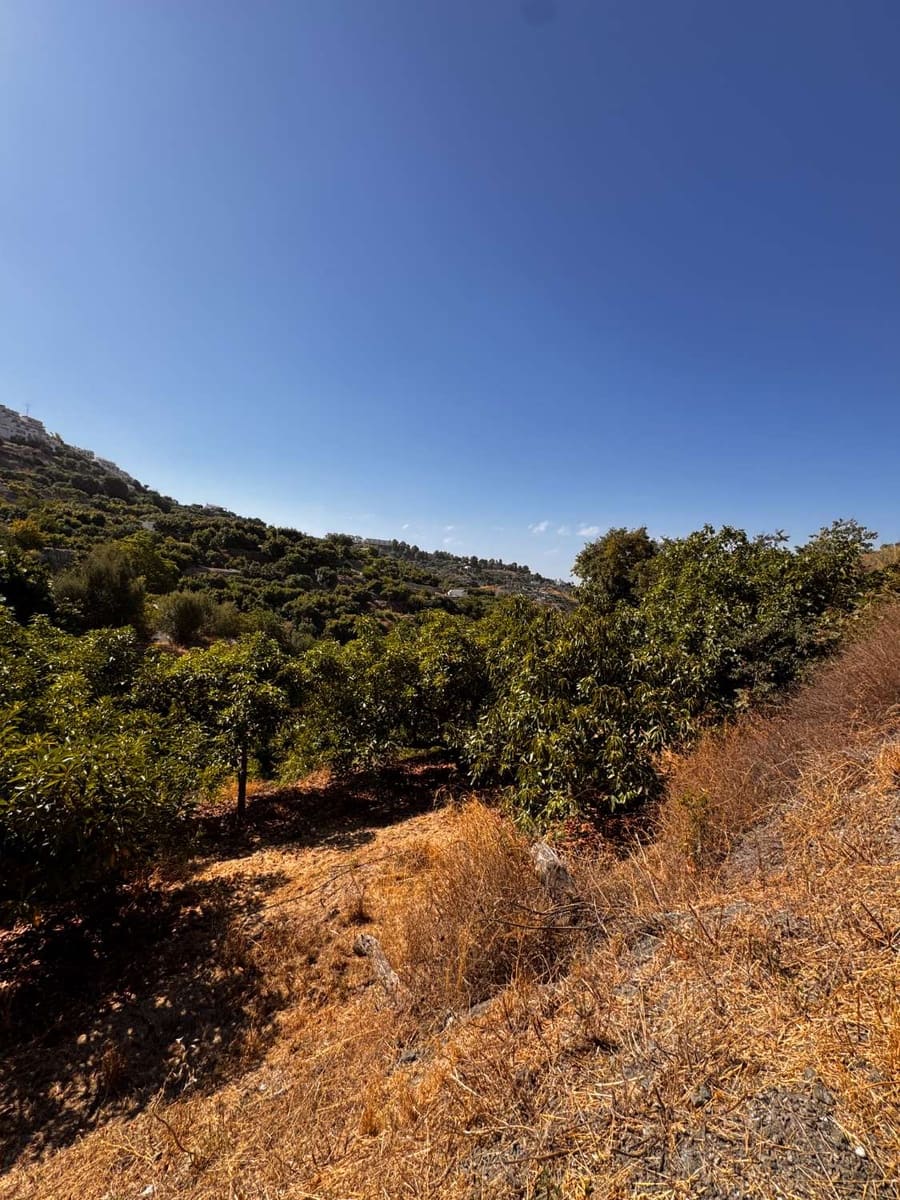 Tomt till salu i Frigiliana - 63 500 € (Ref: 9141397)