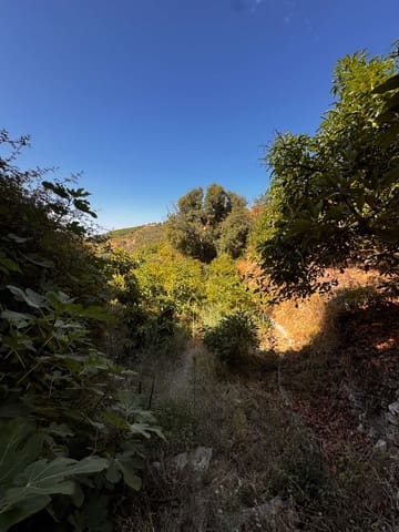 Building Plot for sale in Frigiliana - € 63,500 (Ref: 9141397)