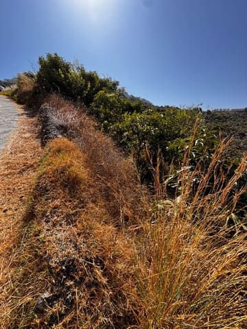Building Plot for sale in Frigiliana - € 63,500 (Ref: 9141397)