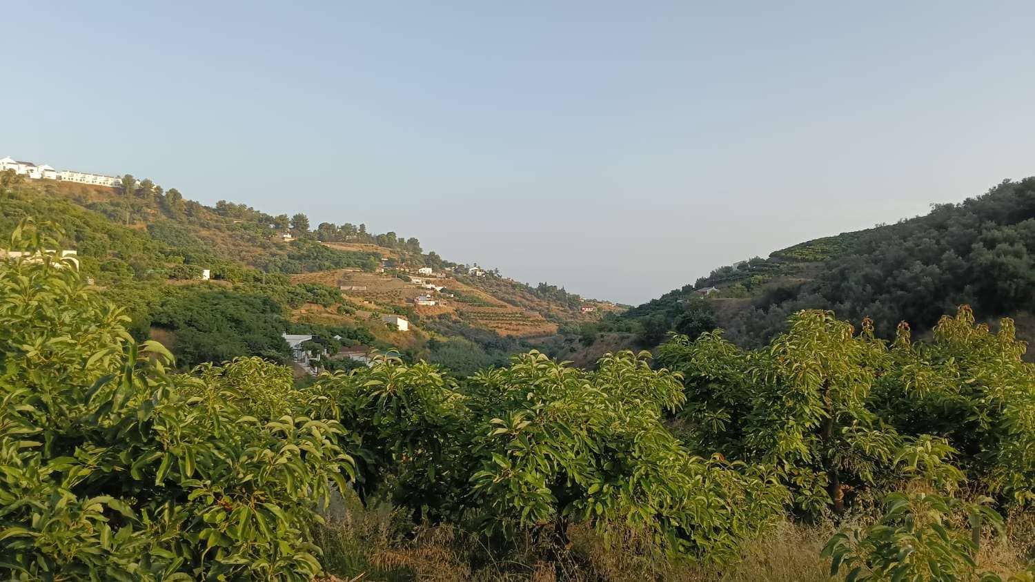 Tomt till salu i Frigiliana - 63 500 € (Ref: 9141397)