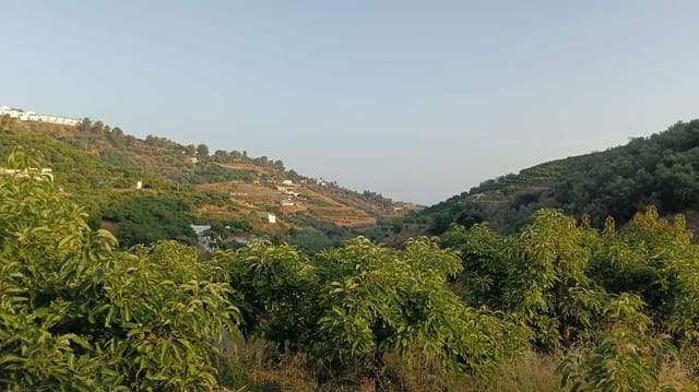 Building Plot for sale in Frigiliana - € 63,500 (Ref: 9141397)