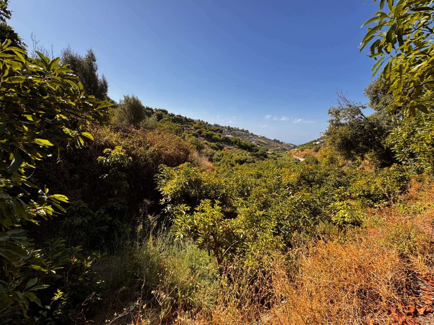 Tomt till salu i Frigiliana - 63 500 € (Ref: 9141397)