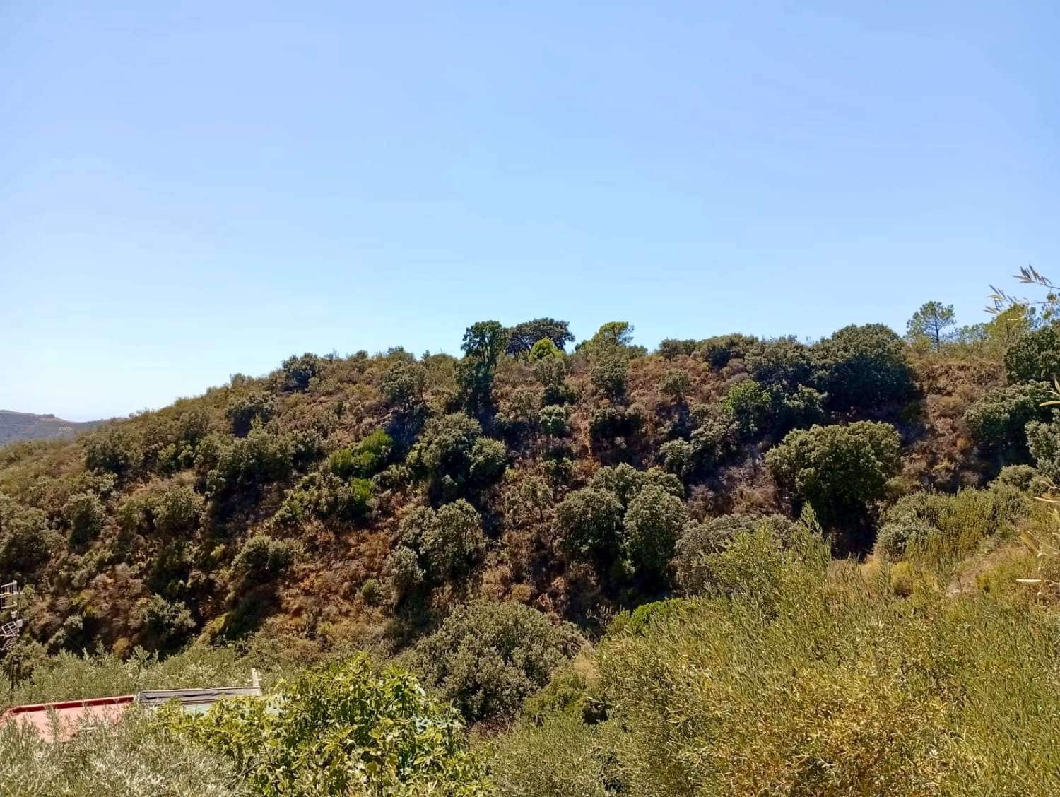 2 sypialnia Dom na sprzedaż w Otivar - 214 000 € (Ref: 9413707)