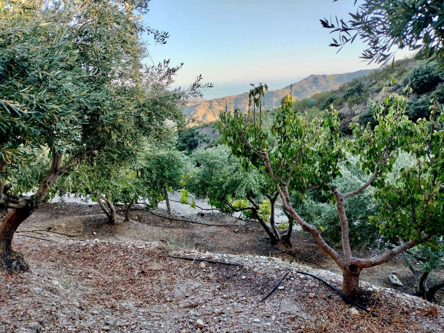 2 sypialnia Dom na sprzedaż w Otivar - 214 000 € (Ref: 9413707)