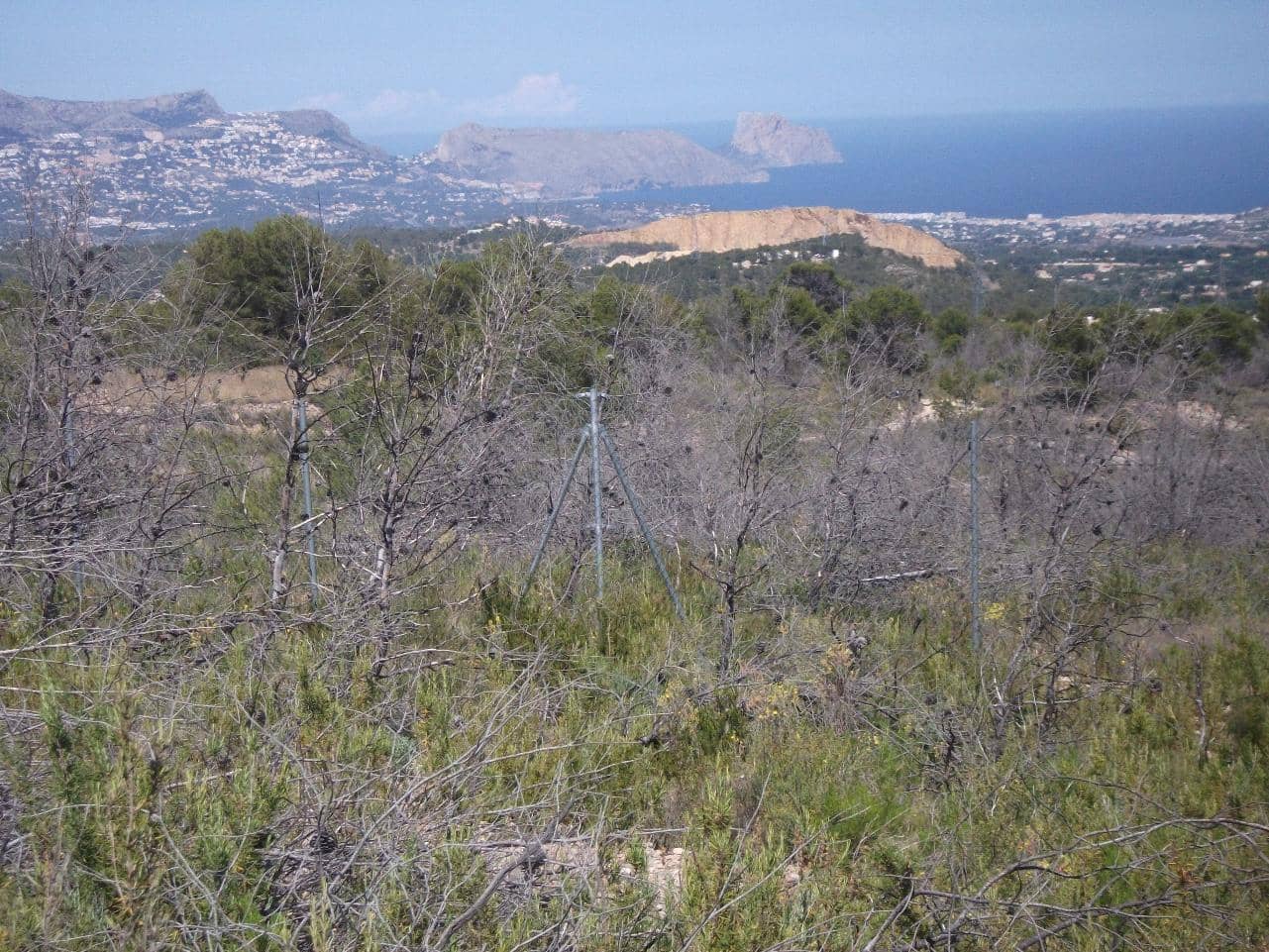 Area Edificabile in vendita in La Nucia - 700.000 € (Rif: 6871059)