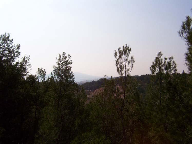 Działka budowlana na sprzedaż w Galera de las Palmeras - 195 000 € (Ref: 6871108)