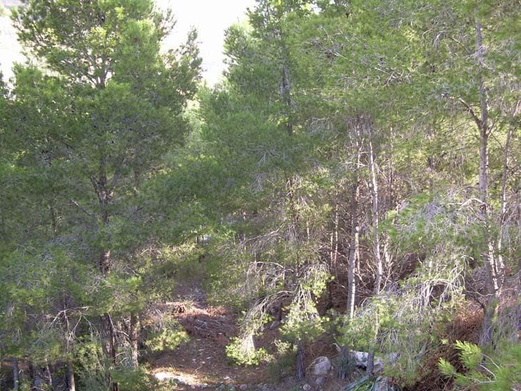 Building Plot for sale in Altea - € 150,000 (Ref: 6871161)