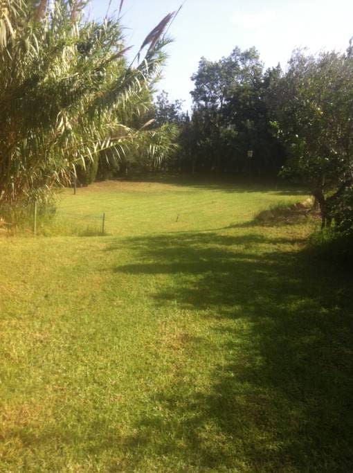 5 chambre Villa/Maison à vendre à Alfaz del Pi / L'Alfas del Pi avec piscine garage - 1 500 000 € (Ref: 7788233)