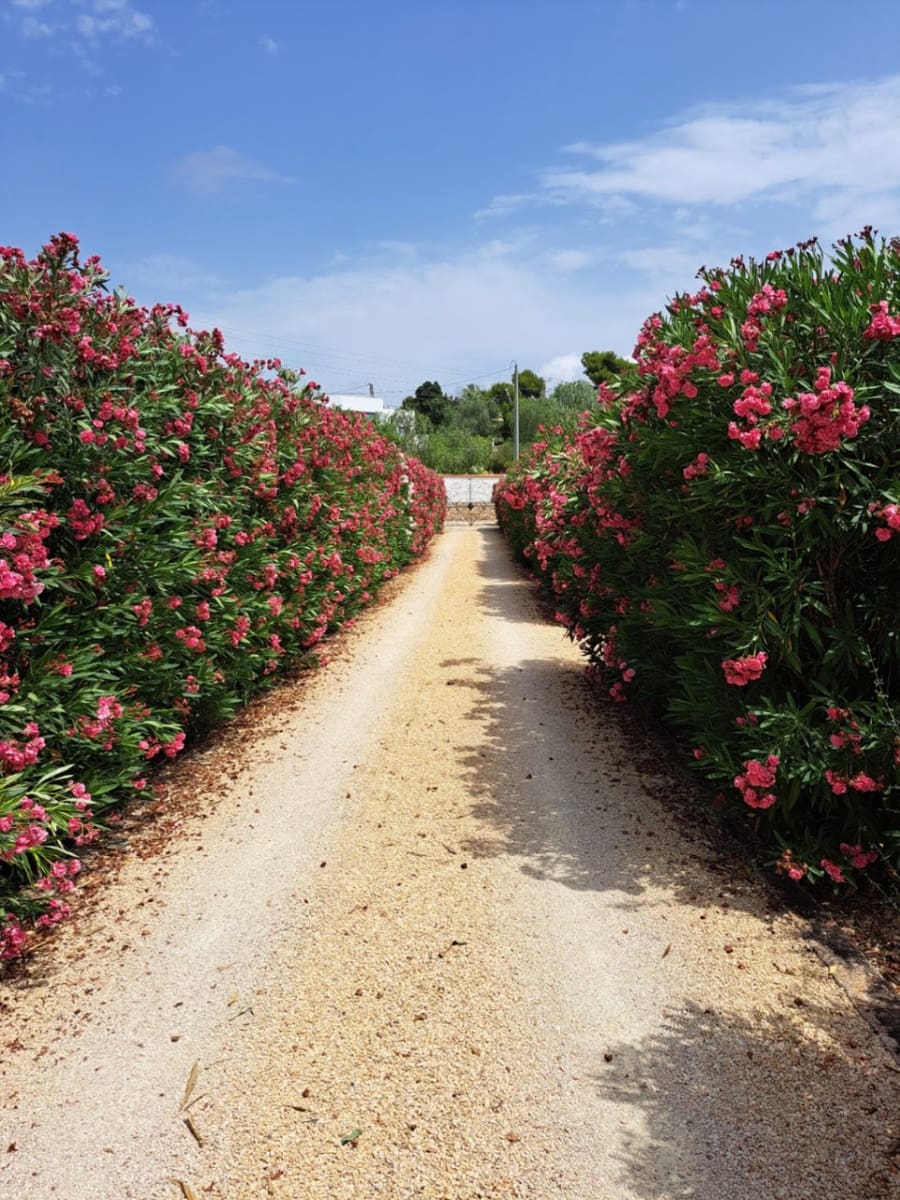 7 slaapkamer Villa te koop in Altea met zwembad garage - € 1.370.000 (Ref: 8931647)