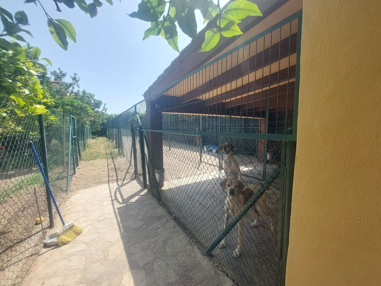 5 soverom Villa til salgs i Albir med svømmebasseng garasje - € 1 695 000 (Ref: 9076972)