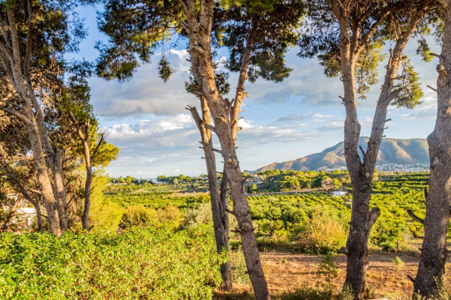 3 chambre Villa/Maison à vendre à Alfaz del Pi / L'Alfas del Pi avec piscine garage - 650 000 € (Ref: 9386712)