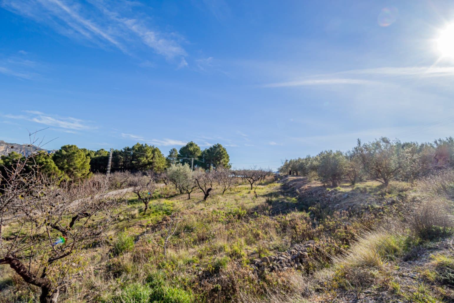 Building Plot for sale in Benifato - € 140,000 (Ref: 9496454)