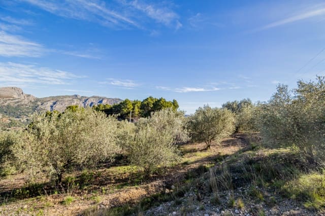 Building Plot for sale in Benifato - € 140,000 (Ref: 9496454)