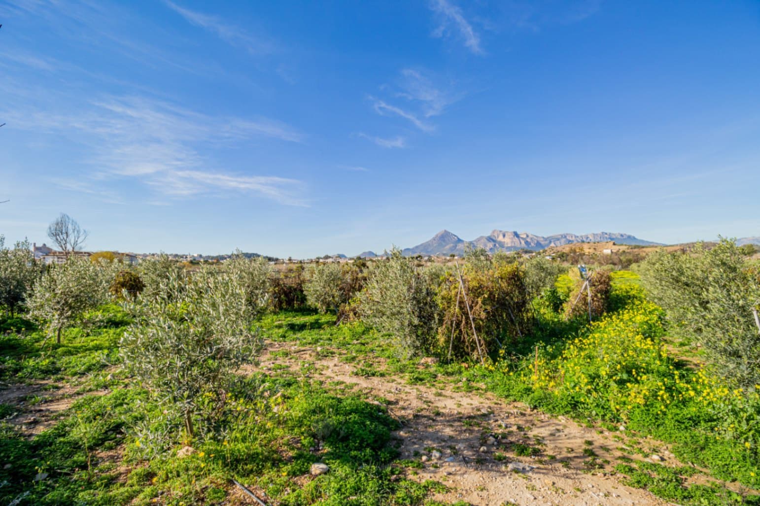 Bauplatz zu verkaufen in Altea - 469.000 € (Ref: 9496455)