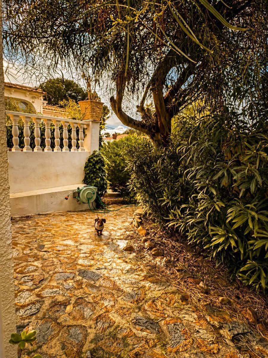Area Edificabile in vendita in Albir - 2.500.000 € (Rif: 9818457)