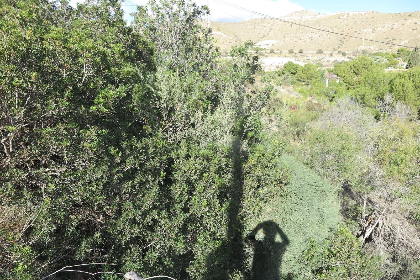 Rakentamaton maa myytävänä paikassa El Campello - 140 000 € (Ref: 9625379)