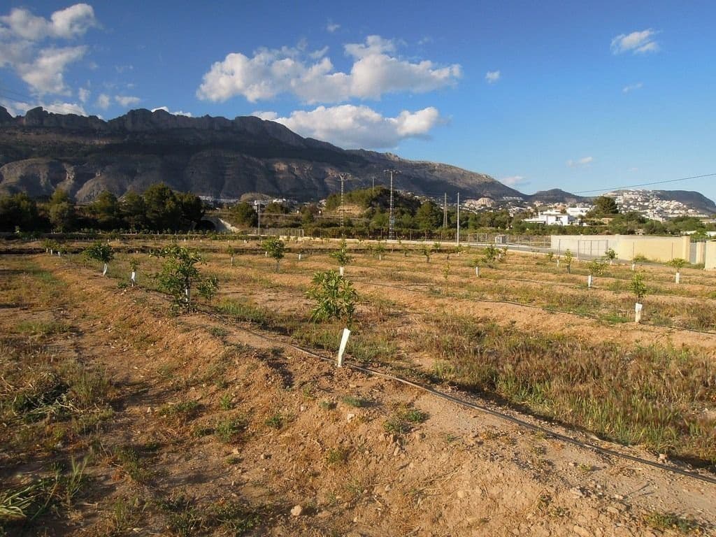 Grunde uden byggetilladelser til salg i Altea la Vella - € 400.000 (Ref: 9145203)