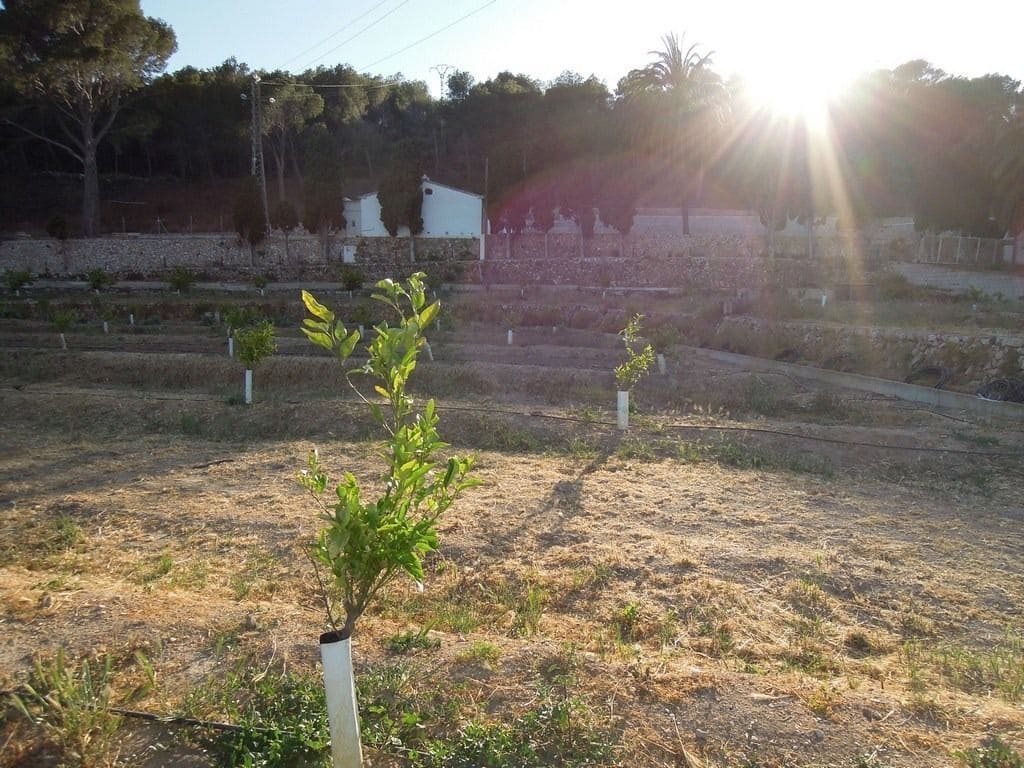 Grunde uden byggetilladelser til salg i Altea la Vella - € 400.000 (Ref: 9145203)