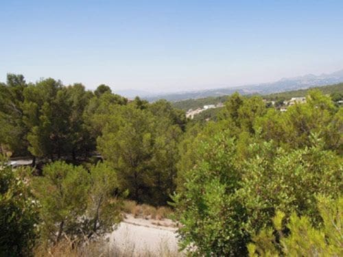 Terre non Aménagée à vendre à Altea la Vella - 145 000 € (Ref: 9145205)