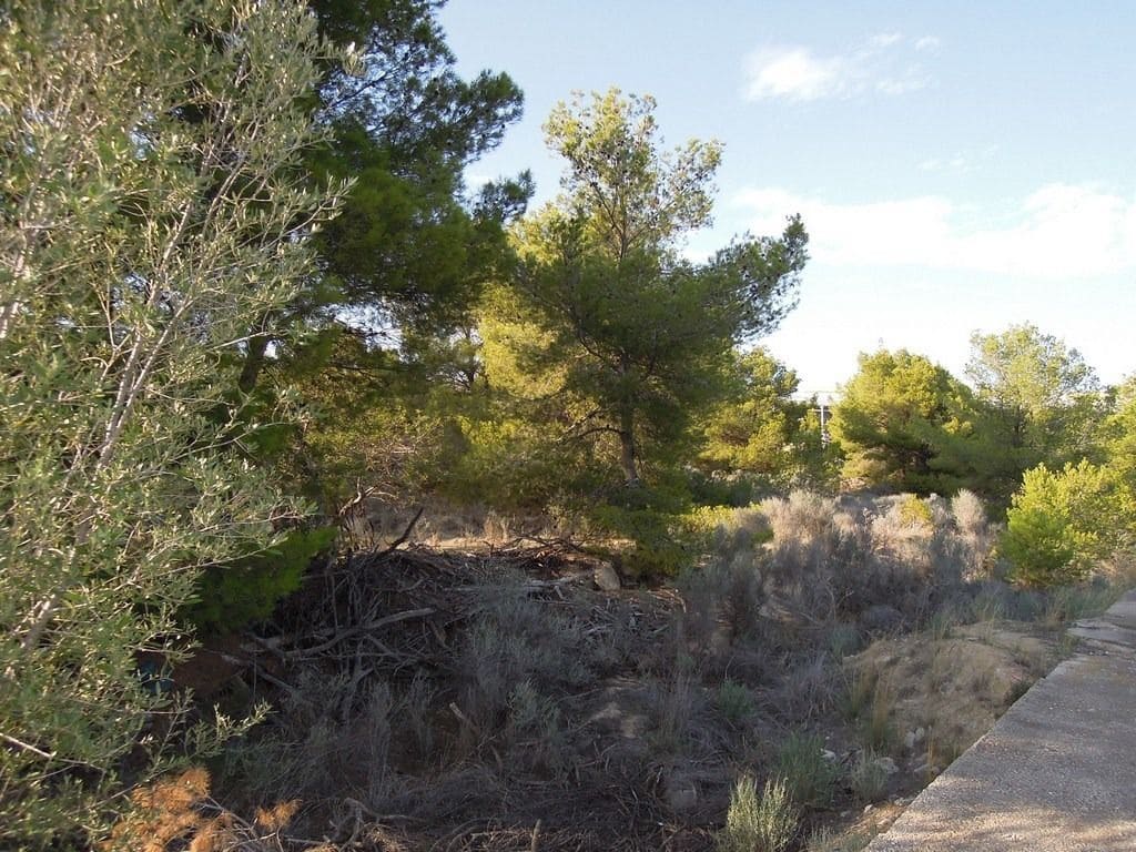 Teren niezagospodarowany na sprzedaż w Altea - 760 000 € (Ref: 9145206)