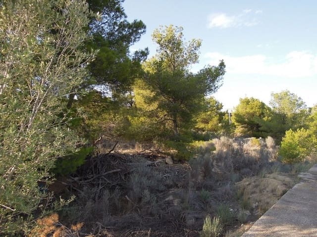 Undeveloped Land for sale in Altea - € 760,000 (Ref: 9145206)