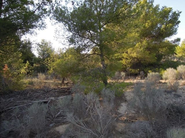 Undeveloped Land for sale in Altea - € 760,000 (Ref: 9145206)