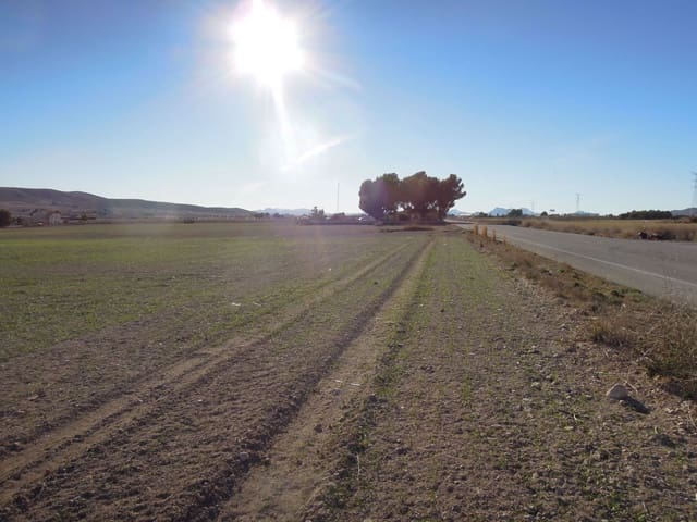 Commercial for sale in Villena - € 3,000,000 (Ref: 9165477)