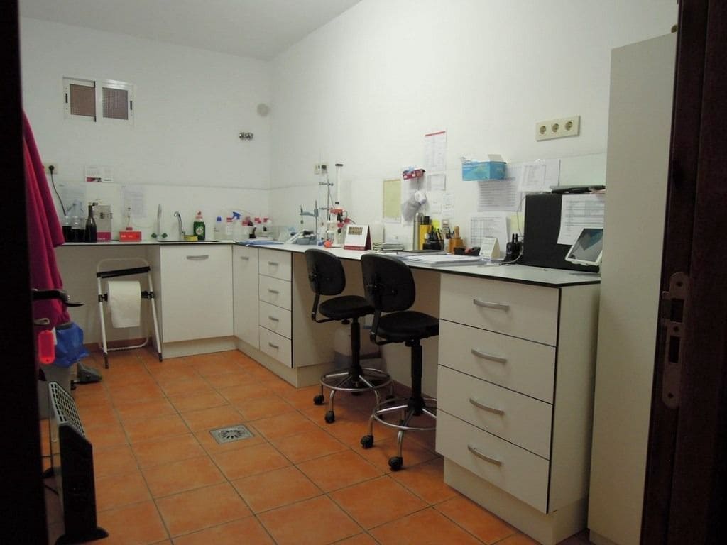 Kommersiell til salgs i Albacete by med garasje - € 1 500 000 (Ref: 9165478)