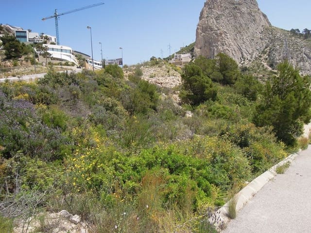Terre non Aménagée à vendre à Altea - 1 765 000 € (Ref: 9169297)