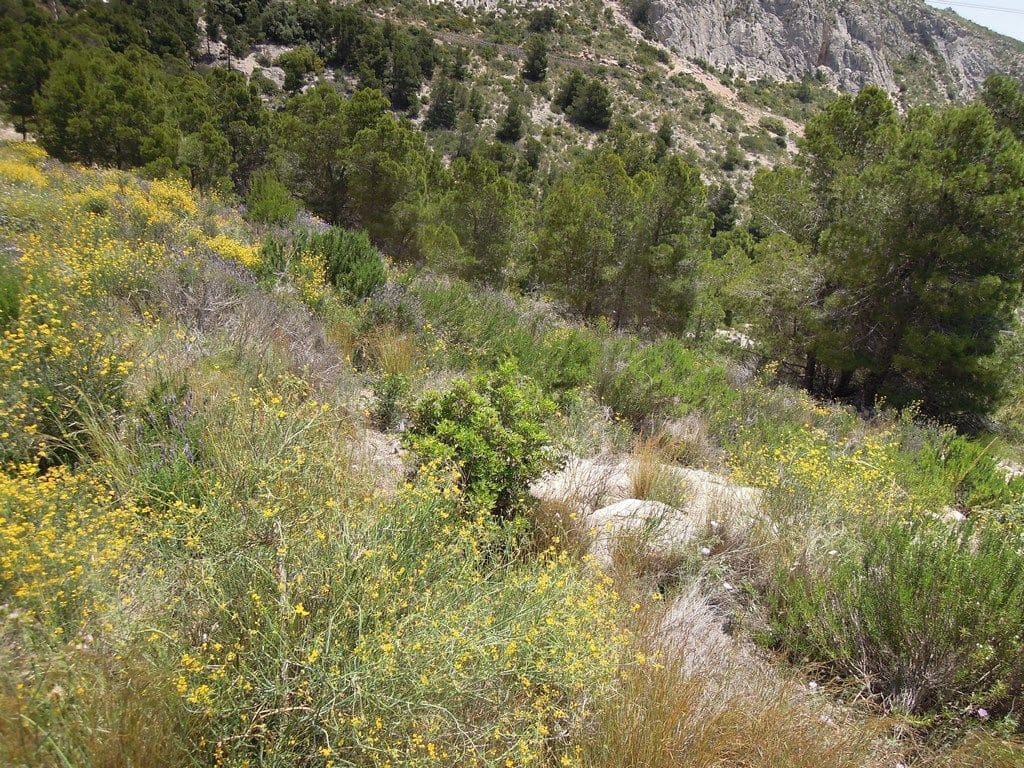 Landgrundstück zu verkaufen in Altea - 1.765.000 € (Ref: 9169297)