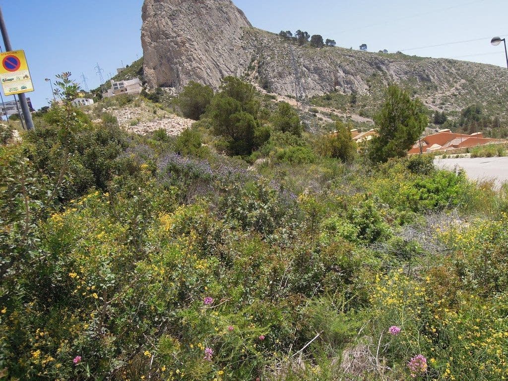 Landgrundstück zu verkaufen in Altea - 1.765.000 € (Ref: 9169297)