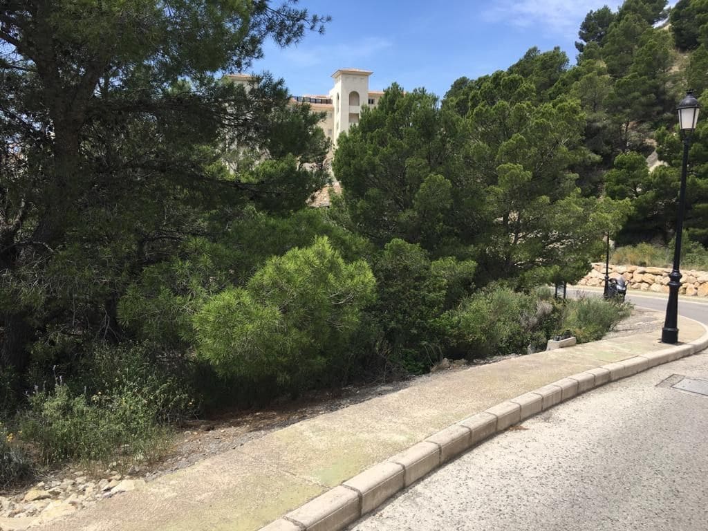 Undeveloped Land for sale in Altea - € 225,000 (Ref: 9169299)