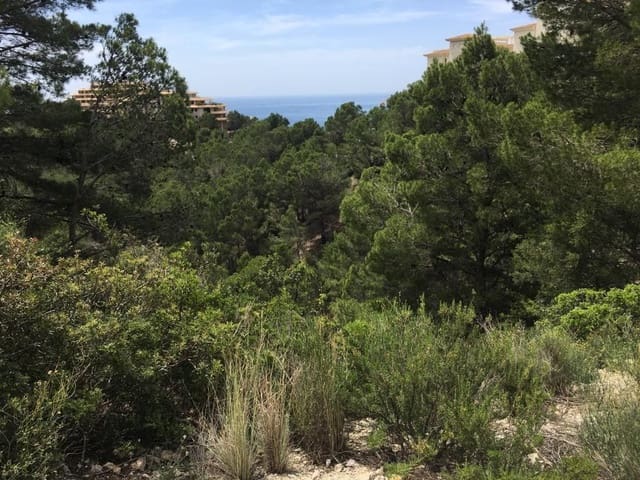 Terre non Aménagée à vendre à Altea - 225 000 € (Ref: 9169299)