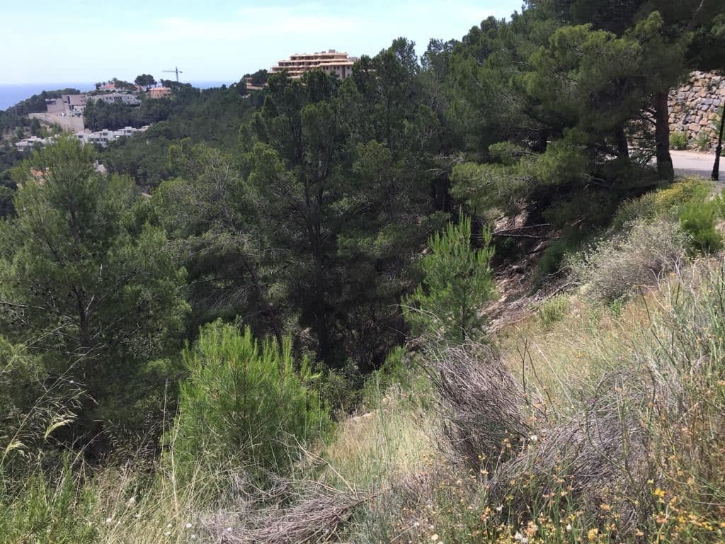 Undeveloped Land for sale in Altea - € 225,000 (Ref: 9169299)